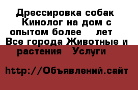 Дрессировка собак (Кинолог на дом с опытом более 10 лет) - Все города Животные и растения » Услуги   